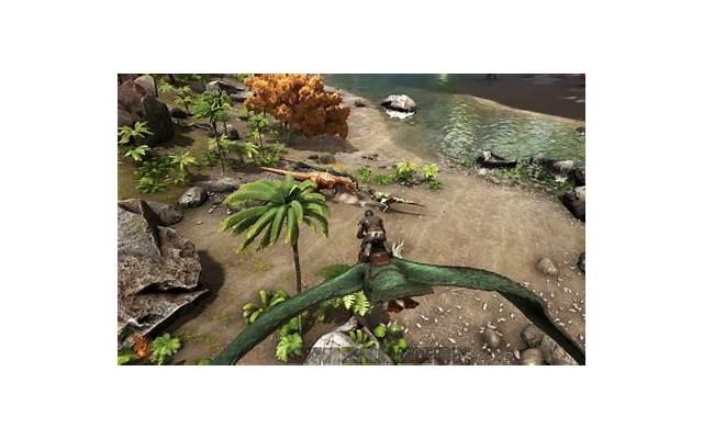 男方背叛离婚彩礼如何分配