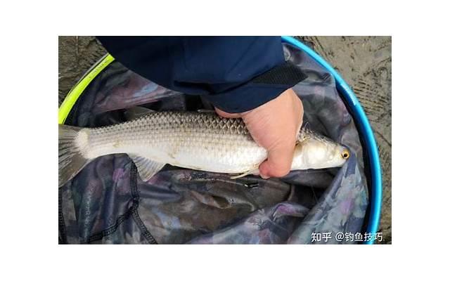  男朋友离婚不离家该不该等他