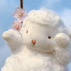 ​纯爱推文！《情敌总说他爱我》忠犬温柔霸总X傲娇心软甜，日常甜