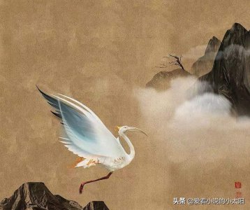 ​琉璃美人煞：书中提到会喷火的毕方鸟是何方妖孽，原型是火烈鸟？