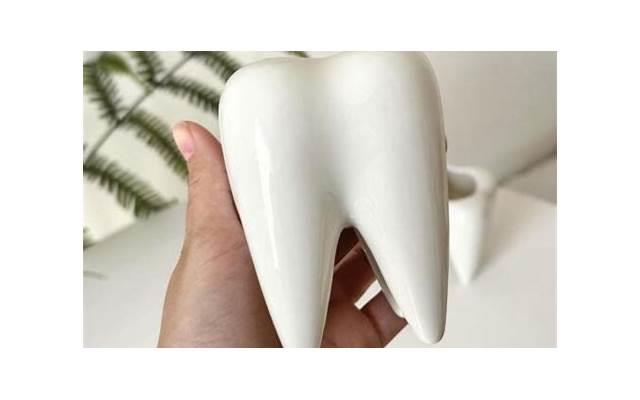 有哪些女性子gong畸形 女性子gong畸形常见哪些分类