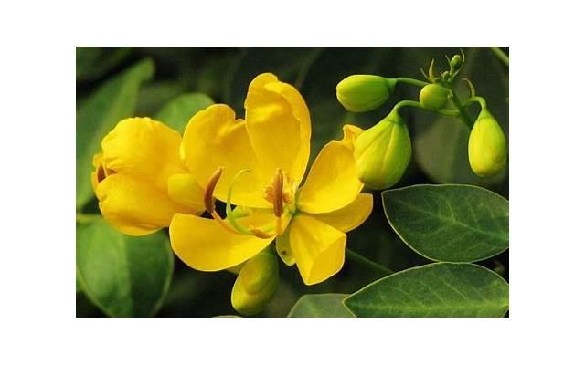  分居到第七天的时候，我实在是忍不了了