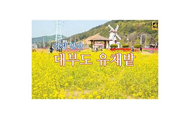 案牍馆求案牍的抖音（抖音案牍馆馆怎样搞钱）