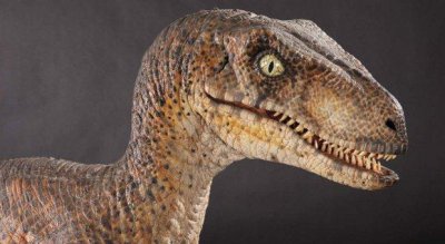 ​象鸟：400年前还活在地球上的大型“恐龙”？