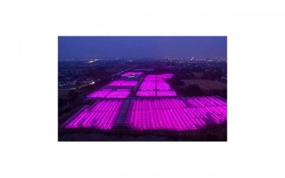 ​两个人互相喜欢是什么样的？两个人互相喜欢的特征