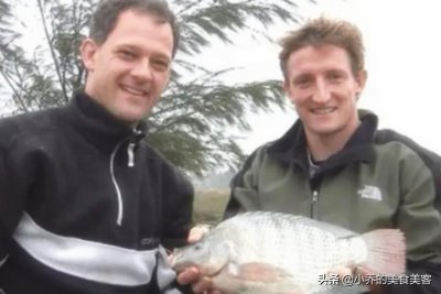 ​在美国大受欢迎的罗非鱼，在国内却不受待见，网友：一股土腥味