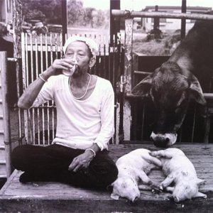 ​Amoy大号语录选集（2）