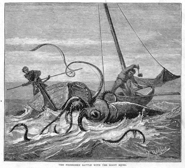 史诗级对战！当深海霸王乌贼遇上凶恶的抹香鲸！