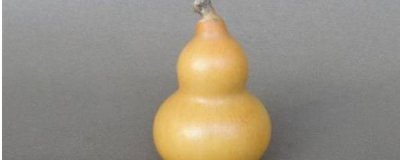 ​葫芦什么时候摘