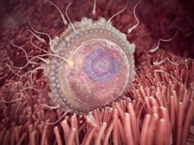 ​怀胎十月，想知道每个孕周的胎儿都长什么样？最全的图片都在这里