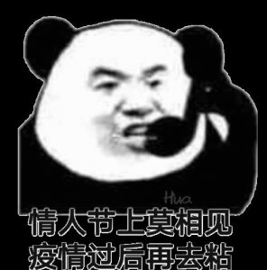 ​熊猫头情人节表情包合集｜送束鲜花太老土，真爱就送N95