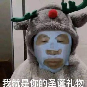 ​圣诞节斗图表情包合集｜我就是你的圣诞礼物