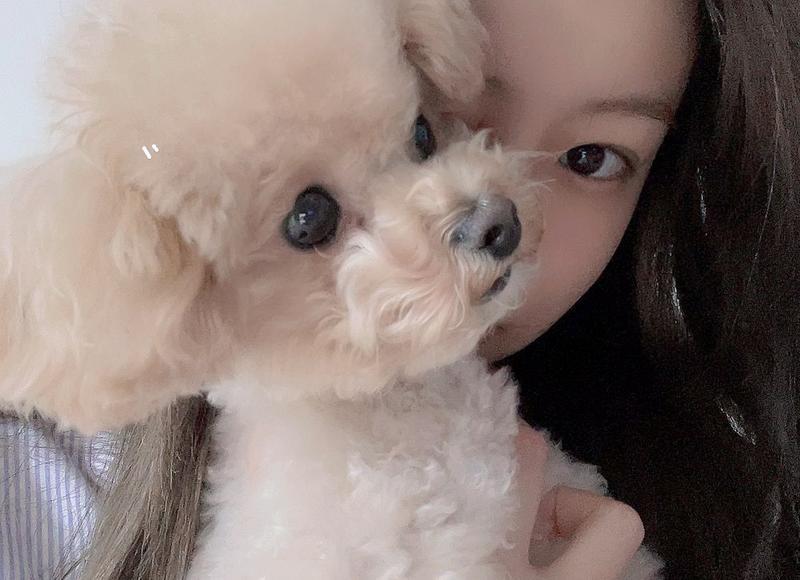 白色家具风水怎么样 白色家具对风水有什么影响