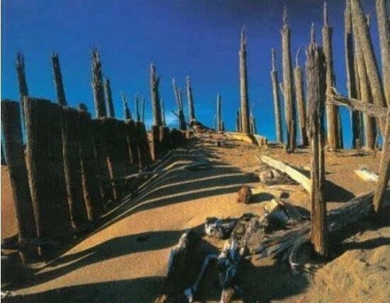 罗布泊双鱼玉佩事件（大漠中人间蒸发一般消失的无影无踪）(1)_