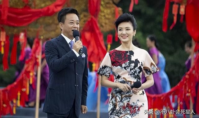 盘点李思思春晚造型（回看40年春晚门面的更迭）(39)