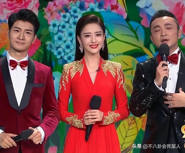 盘点李思思春晚造型（回看40年春晚门面的更迭）(54)