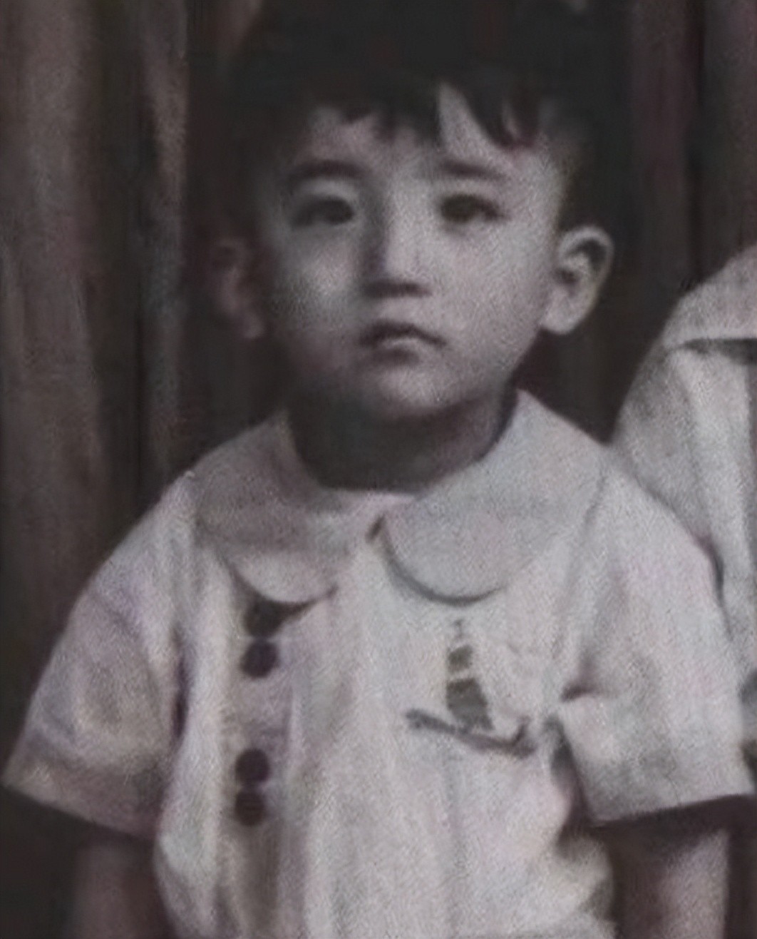 好男人孙淳个人资料，与傅丽莉携手38年膝下无子，花60万克隆爱犬陪伴左右