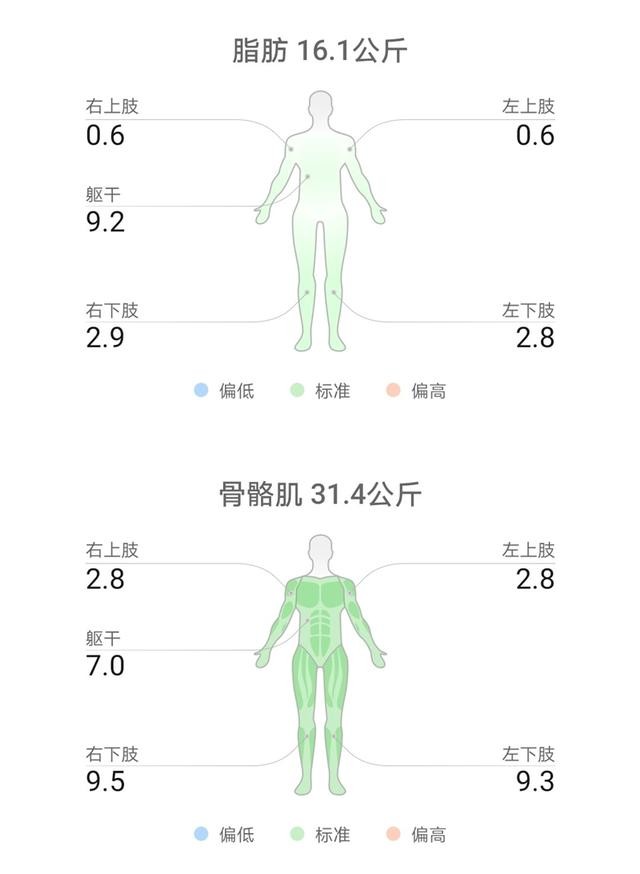 华为智能体脂秤蓝牙版怎么调斤（八电极华为体脂秤2Pro评测）(22)