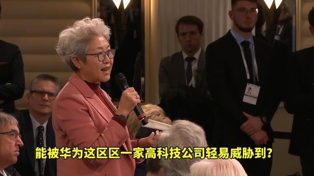 傅莹做过外交部发言人吗（最美外交官傅莹）(17)