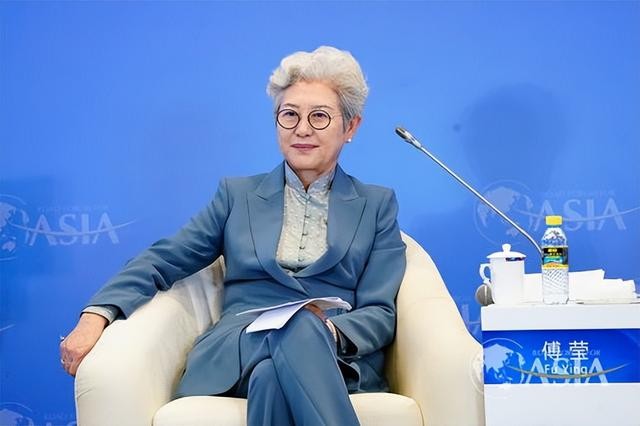 傅莹做过外交部发言人吗（最美外交官傅莹）(12)
