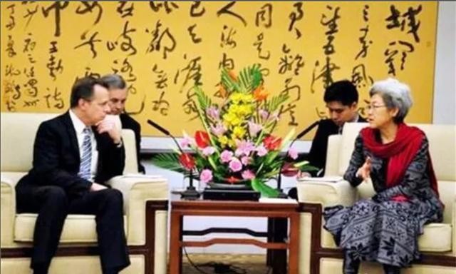 傅莹做过外交部发言人吗（最美外交官傅莹）(11)