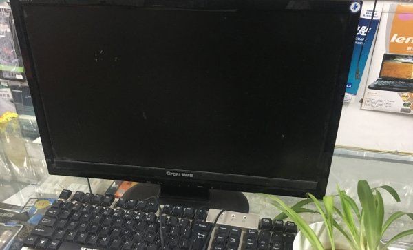 电脑前放仙人掌能防辐射,在电脑桌旁边放一盆仙人掌能防辐射吗图16