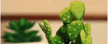 电脑前放仙人掌能防辐射,在电脑桌旁边放一盆仙人掌能防辐射吗图13