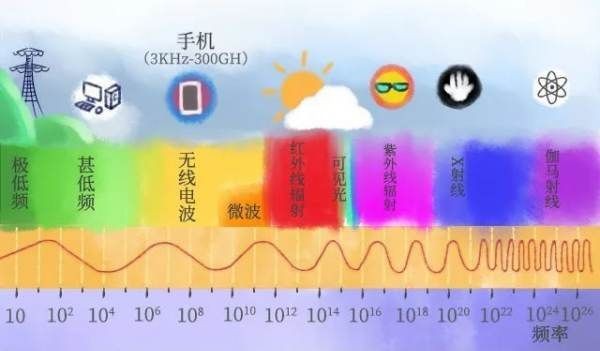 电脑前放仙人掌能防辐射,在电脑桌旁边放一盆仙人掌能防辐射吗图10
