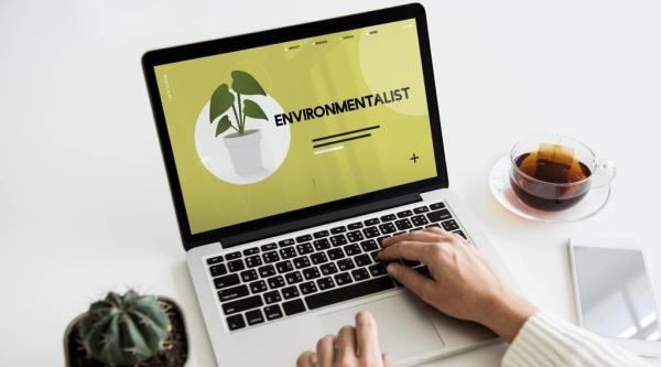 电脑前放仙人掌能防辐射,在电脑桌旁边放一盆仙人掌能防辐射吗图4