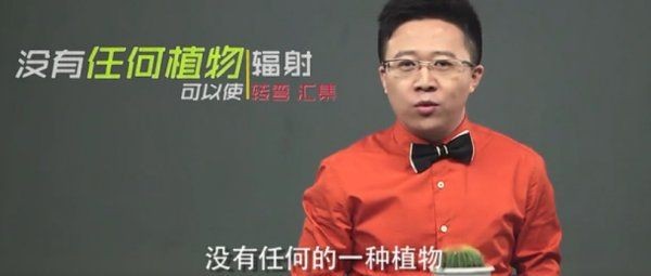 电脑前放仙人掌能防辐射,在电脑桌旁边放一盆仙人掌能防辐射吗图7