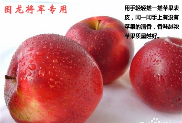 如何选择苹果,怎么才能买到正品苹果手机图7