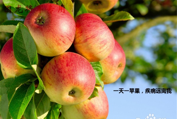 如何选择苹果,怎么才能买到正品苹果手机图13