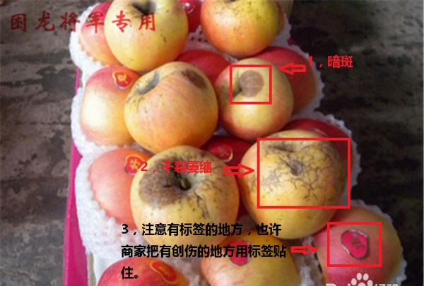 如何选择苹果,怎么才能买到正品苹果手机图12