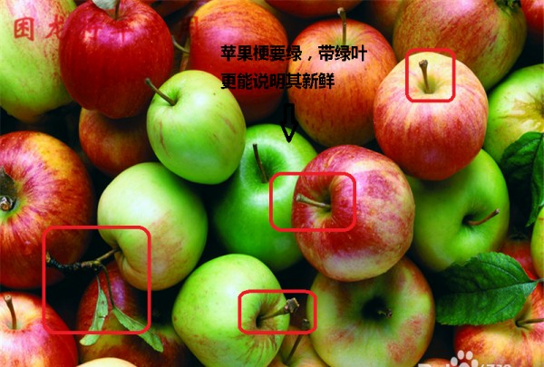 如何选择苹果,怎么才能买到正品苹果手机图8