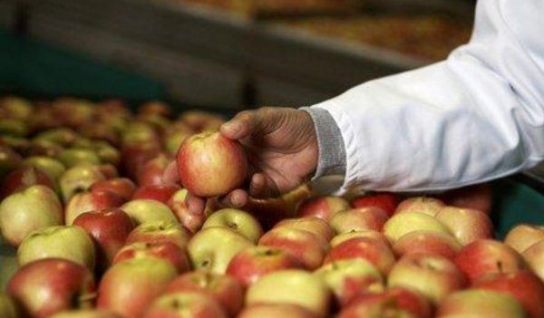 如何选择苹果,怎么才能买到正品苹果手机图4