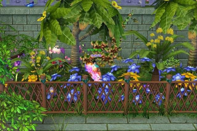 新天龙八部怀旧服开服攻略（新天龙八部怀旧服有多火）(1)