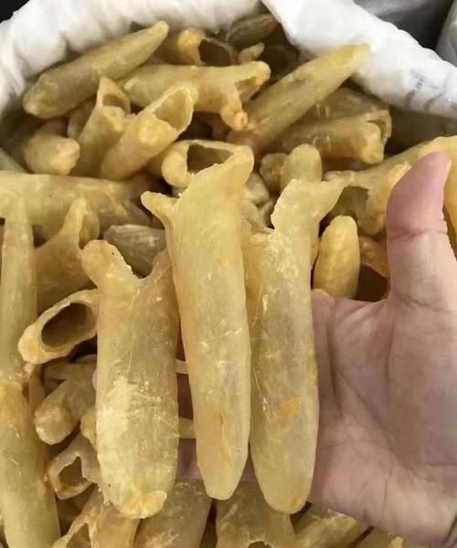 干花胶放冰箱冷藏还是冷冻