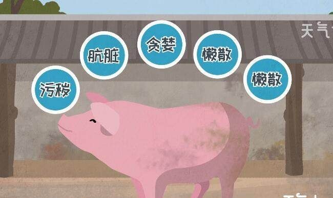 兰州拉面为什么不吃猪肉