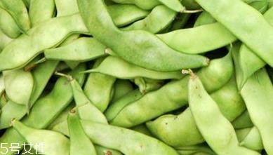 芸豆是什么？芸豆是豆角吗？