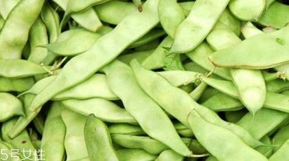 芸豆是什么？芸豆是豆角吗？