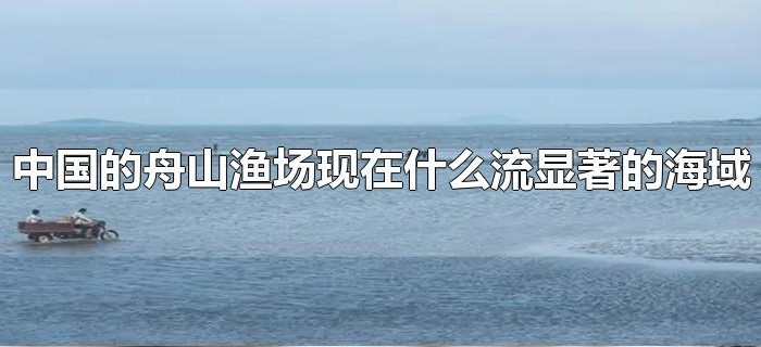 中国的舟山渔场现在什么流显著的海域