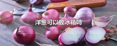 ​洋葱可以放冰箱吗