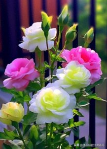 ​“神仙下凡”的4个出生日尾数，家中有一个，子孙后代就有福了