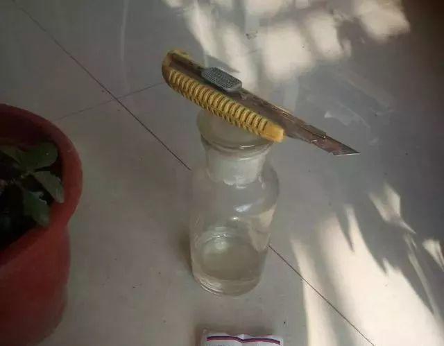 长寿花和玉树合体，开出5种颜色的花，太惊艳了！