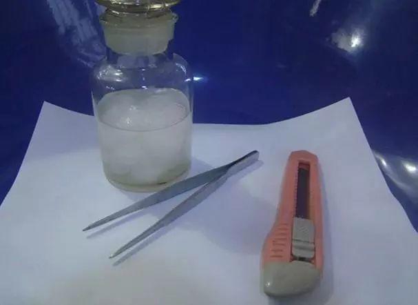 长寿花和玉树合体，开出5种颜色的花，太惊艳了！