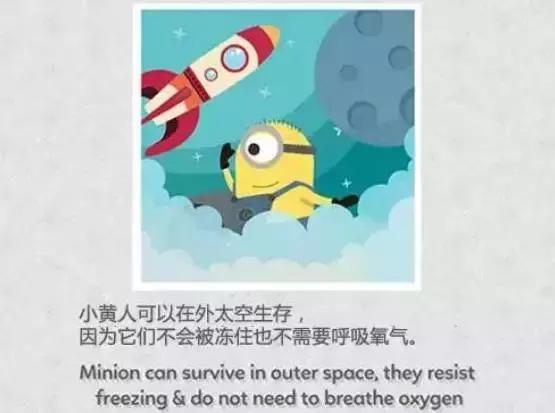 4个关于小黄人的冷知识(你所不知道的小黄人的11个小秘密)(17)