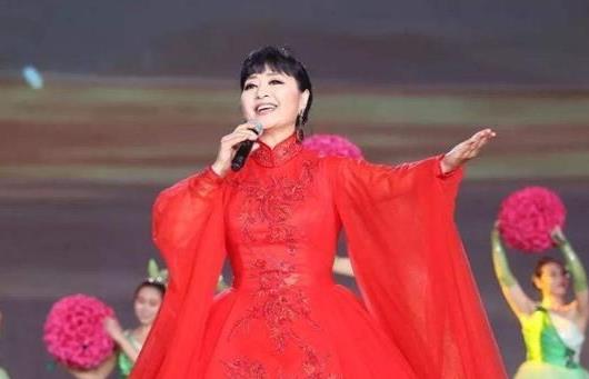 殷秀梅现任的老公照片 有一段失败的婚姻