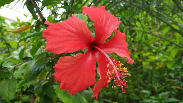 乐视手机1pro开箱测试（乐视手机1详细评测）(53)