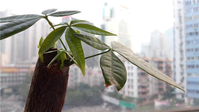 乐视手机1pro开箱测试（乐视手机1详细评测）(39)