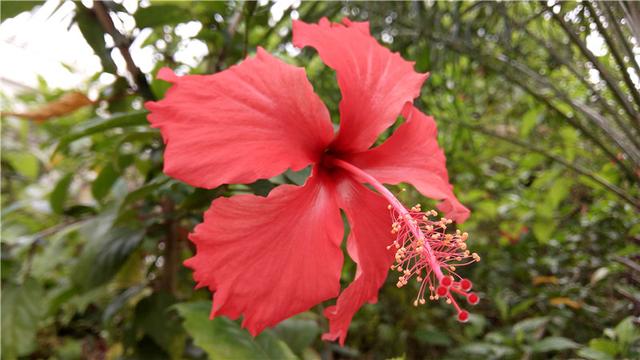 乐视手机1pro开箱测试（乐视手机1详细评测）(52)